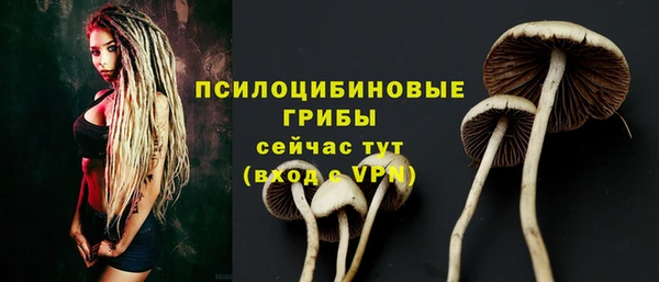мескалин Инсар