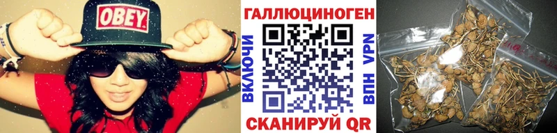 Псилоцибиновые грибы Psilocybe  Купить где  Ейск 